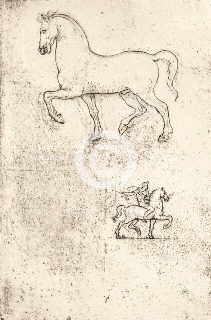 Study for the Sforza Monument, c1482-c1499 (1883). Artist: Leonardo da Vinci.