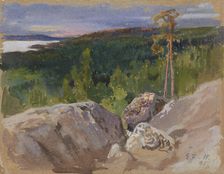 Study from Koli, 1895. Creator: Eero Jarnefelt