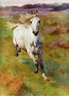 Study from Life for Colt Hunting in the New Forest' 1899