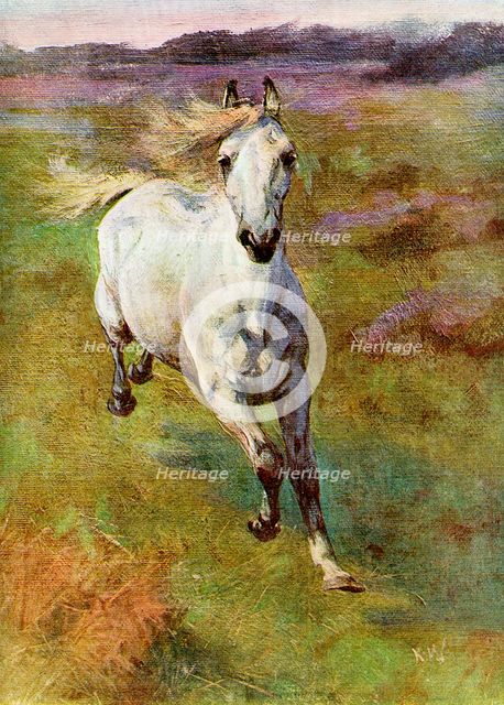 'Study from Life for 'Colt Hunting in the New Forest'', 1899. Artist: Unknown