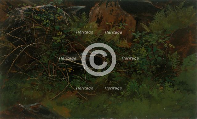 Study from Nature. Creator: William Stanley Haseltine.