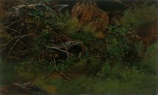 Study from Nature. Creator: William Stanley Haseltine