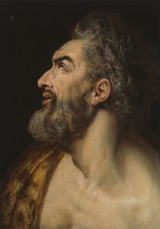 Study Head of a Bearded Man, c. 1565. Creator: Frans Floris