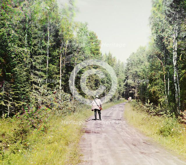 Study; in the forest near the Kivach waterfall. [Suna River], 1915. Creator: Sergey Mikhaylovich Prokudin-Gorsky.