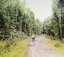 Study; in the forest near the Kivach waterfall. [Suna River], 1915. Creator: Sergey Mikhaylovich Prokudin-Gorsky