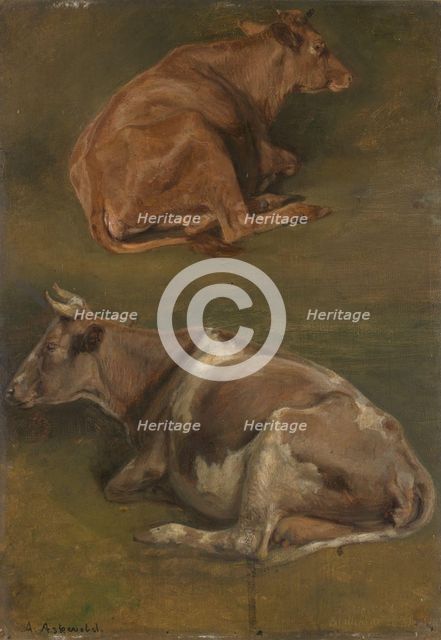 Study of Cows, 1861. Creator: Anders Monsen Askevold.