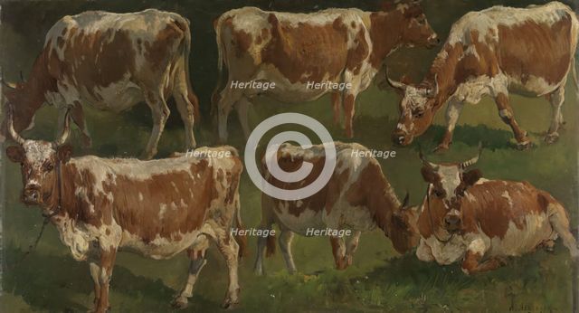 Study of Cows, 1884. Creator: Anders Monsen Askevold.