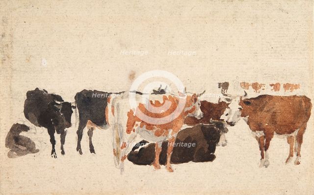 Study of Cattle, c1800-1830. Creator: David Cox the Elder.