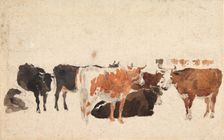Study of Cattle, c1800-1830. Creator: David Cox the Elder