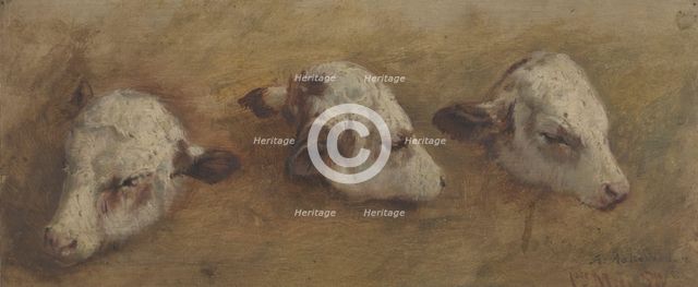 Study of Calfheads, 1858. Creator: Anders Monsen Askevold.