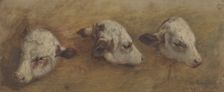 Study of Calfheads, 1858. Creator: Anders Monsen Askevold