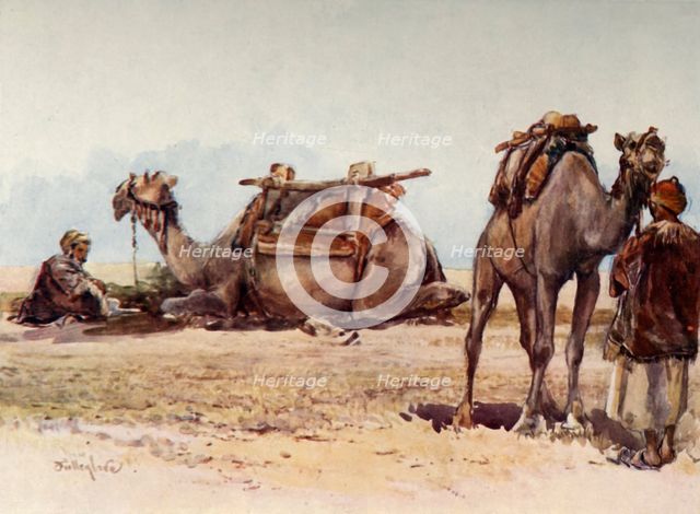 'Study of Camels and Attendants', 1902. Creator: John Fulleylove.