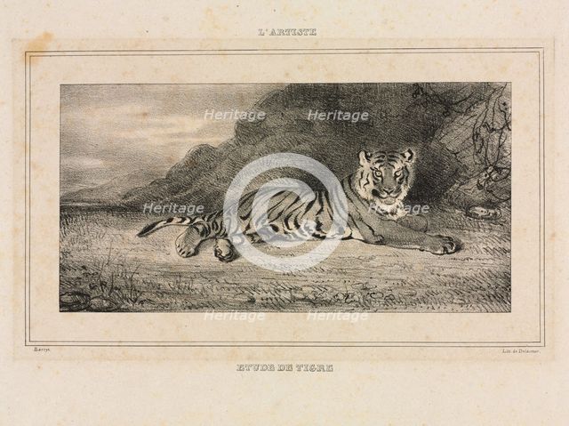 Study of a Tiger, 1832. Creator: Antoine-Louis Barye (French, 1796-1875).