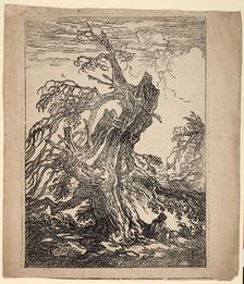 Study of a Tree, 1802. Creator: Raphael Lamar West
