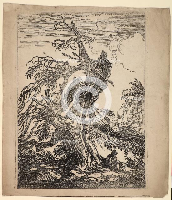 Study of a Tree, 1802. Creator: Raphael Lamar West.