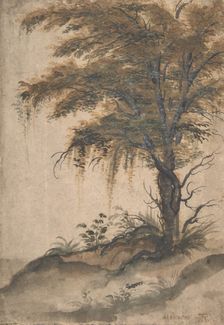 Study of a Tree, mid-16th-early 17th century. Creator: Marten van Valckenborch