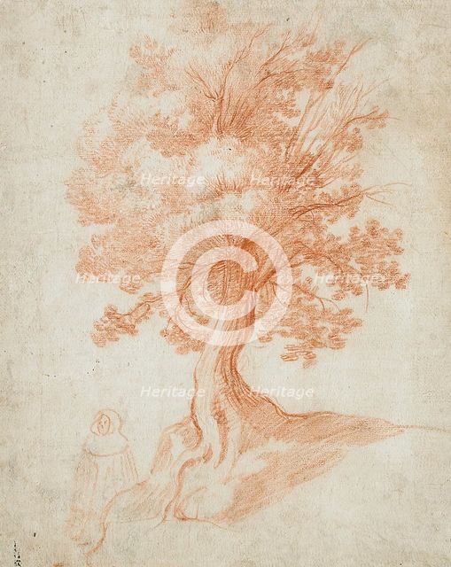 Study of a Tree, between circa 1610 and circa 1620. Creator: Cristofano Allori.