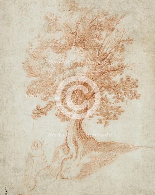 Study of a Tree, between circa 1610 and circa 1620. Creator: Cristofano Allori.