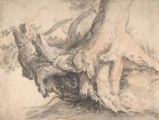 Study of a Tree, ca. 1606-7. Creator: Roelandt Savery