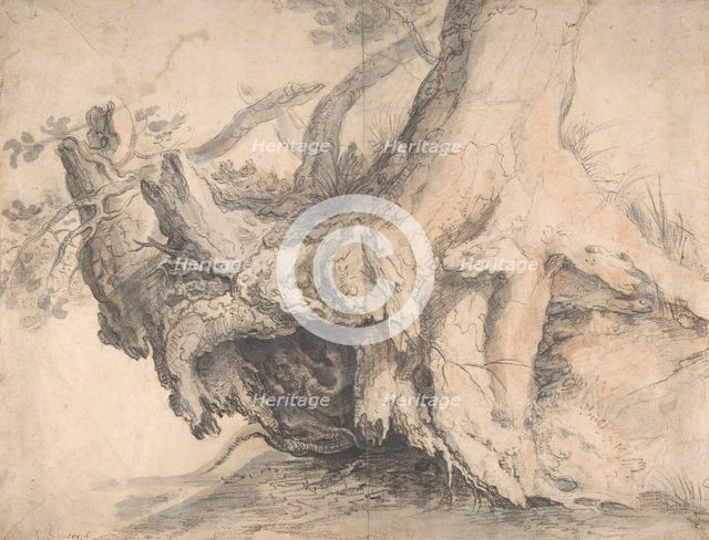 Study of a Tree, ca. 1606-7. Creator: Roelandt Savery.