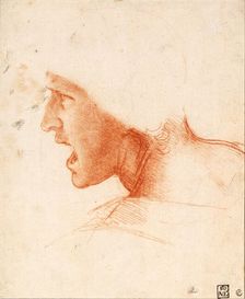 Study of a Warrior's Head for the Battle of Anghiari. Artist: Leonardo da Vinci (1452-1519)