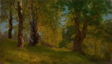 Study of a Wood, probably 1848. Creator: Herman August Cappelen