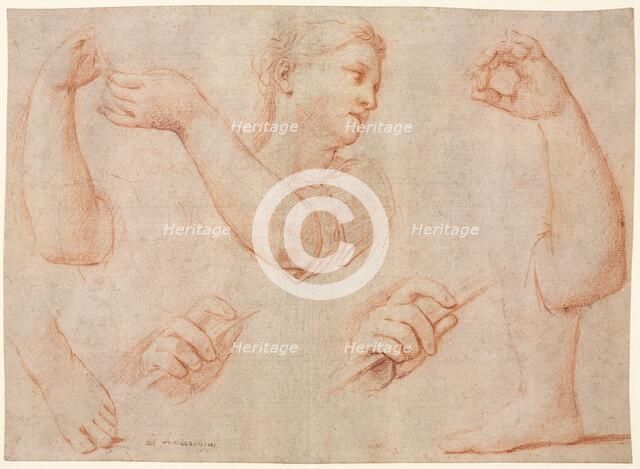 Study of a Young Woman Playing a Tambourine, and Studies of an Arm, Hands, and Feet..., c. 1711. Creator: Marcantonio Franceschini (Italian, 1648-1729).