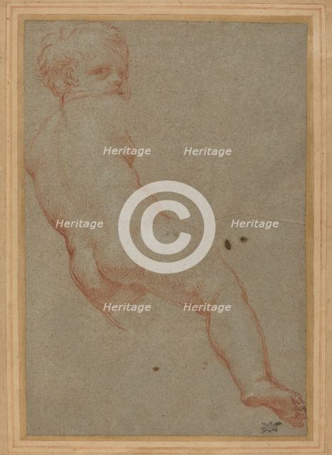 Study of a Young Boy. Creator: Carlo Maratti.