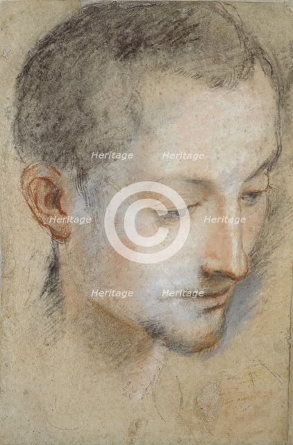 Study of a young Man's Head, late 16th century. Artist: Federico Barocci.