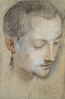 Study of a young Man's Head, late 16th century. Artist: Federico Barocci
