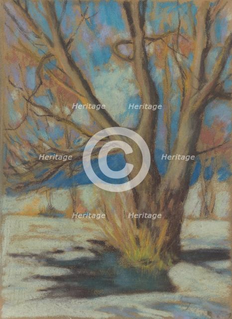Study of a Bare Tree in Winter, 1934. Creator: Zolo Palugyay.
