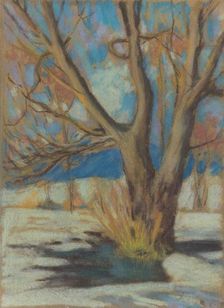 Study of a Bare Tree in Winter, 1934. Creator: Zolo Palugyay