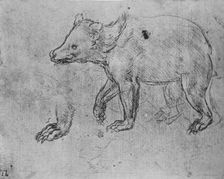 Study of a Bear c1480 (1945). Artist: Leonardo da Vinci