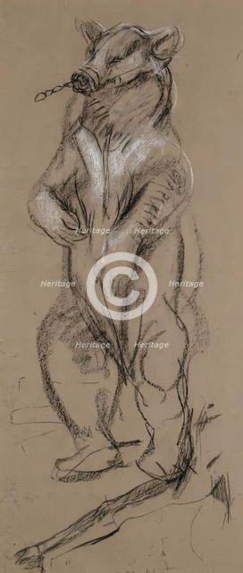 Study Of A Bear. Creator: John MacAllan Swan.