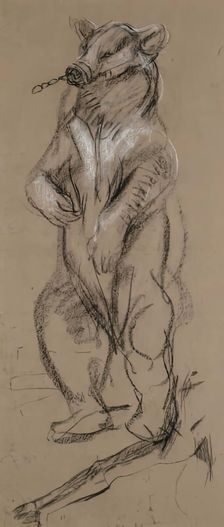 Study Of A Bear. Creator: John MacAllan Swan