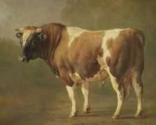 Study of a Bull, 1830-1867. Creator: Jacques-Raymond Brascassat
