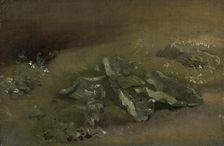 Study Of A Burdock, c1810-14 or c1828. Creator: John Constable