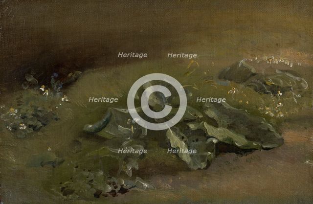 Study Of A Burdock, c1810-14 or c1828. Creator: John Constable.