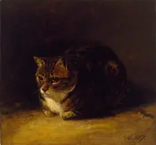 Study of a Cat, 1817. Artist: Abraham Cooper