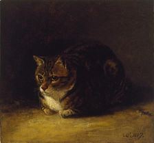 Study of a Cat, 1817. Artist: Abraham Cooper