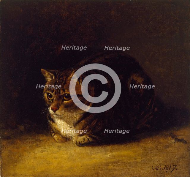 Study of a Cat, 1817. Artist: Abraham Cooper.