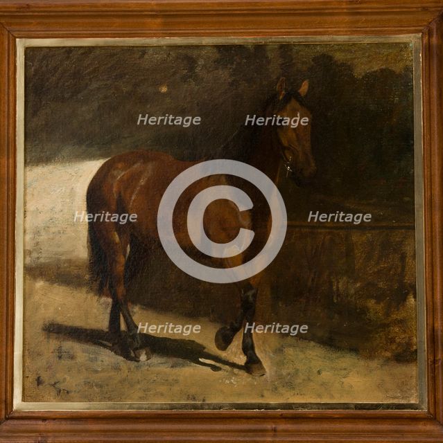 Study of a Chestnut Horse, c1872. Creator: Maksymilian Gierymski.
