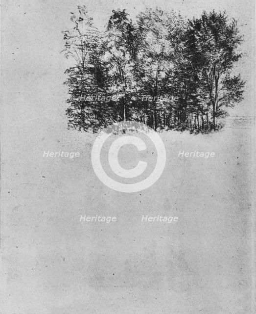 Study of a Coppice', c1480 (1945). Artist: Leonardo da Vinci.
