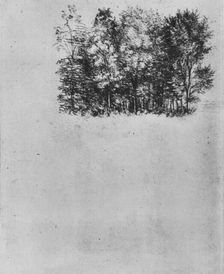 Study of a Coppice c1480 (1945). Artist: Leonardo da Vinci