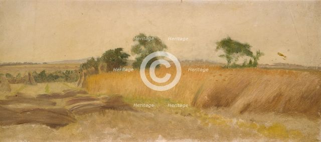 Study of a Cornfield, mid 19th century. Artist: George Heming Mason.