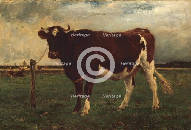 Study of a Cow, 1870/90. Creator: Emile van Marcke de Lummen.