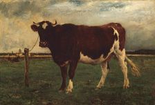 Study of a Cow, 1870/90. Creator: Emile van Marcke de Lummen