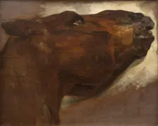 Study of a Dead Horse, early 19th century. Creator: Theodore Gericault