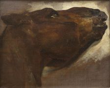 Study of a Dead Horse, early 19th century. Creator: Theodore Gericault
