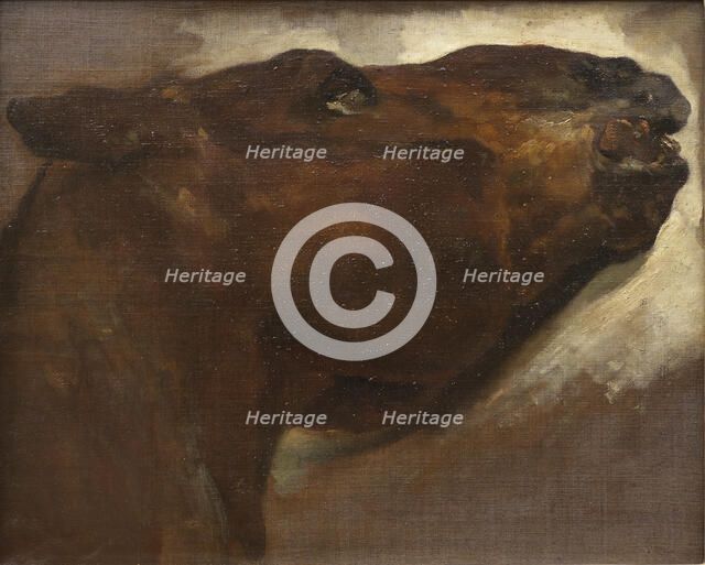 Study of a Dead Horse, early 19th century. Creator: Theodore Gericault.